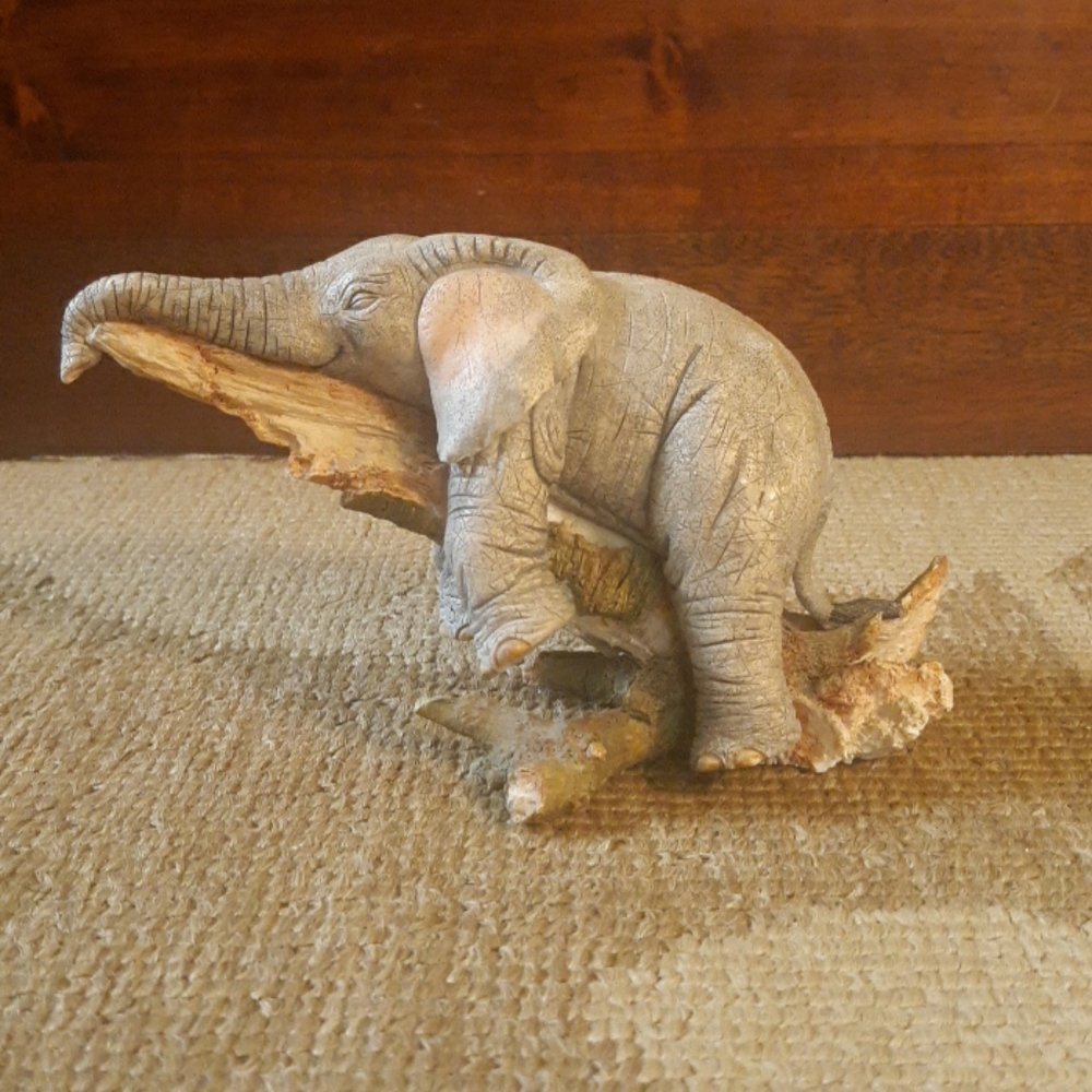 Tusker's  "Henry" Stumped Elephant